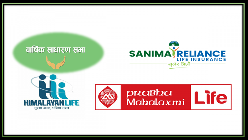 मर्जरमा गएका जीवन बीमा कम्पनीलाई एक्चुरी र लेखापरीक्षणमै समस्या, एक वर्ष वितिसक्दा पनि साधारणसभा अन्योल